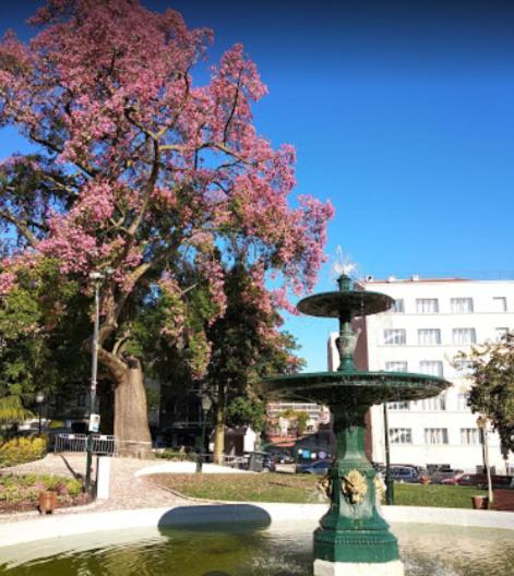 Alegramente Apartment Lisboa Екстериор снимка